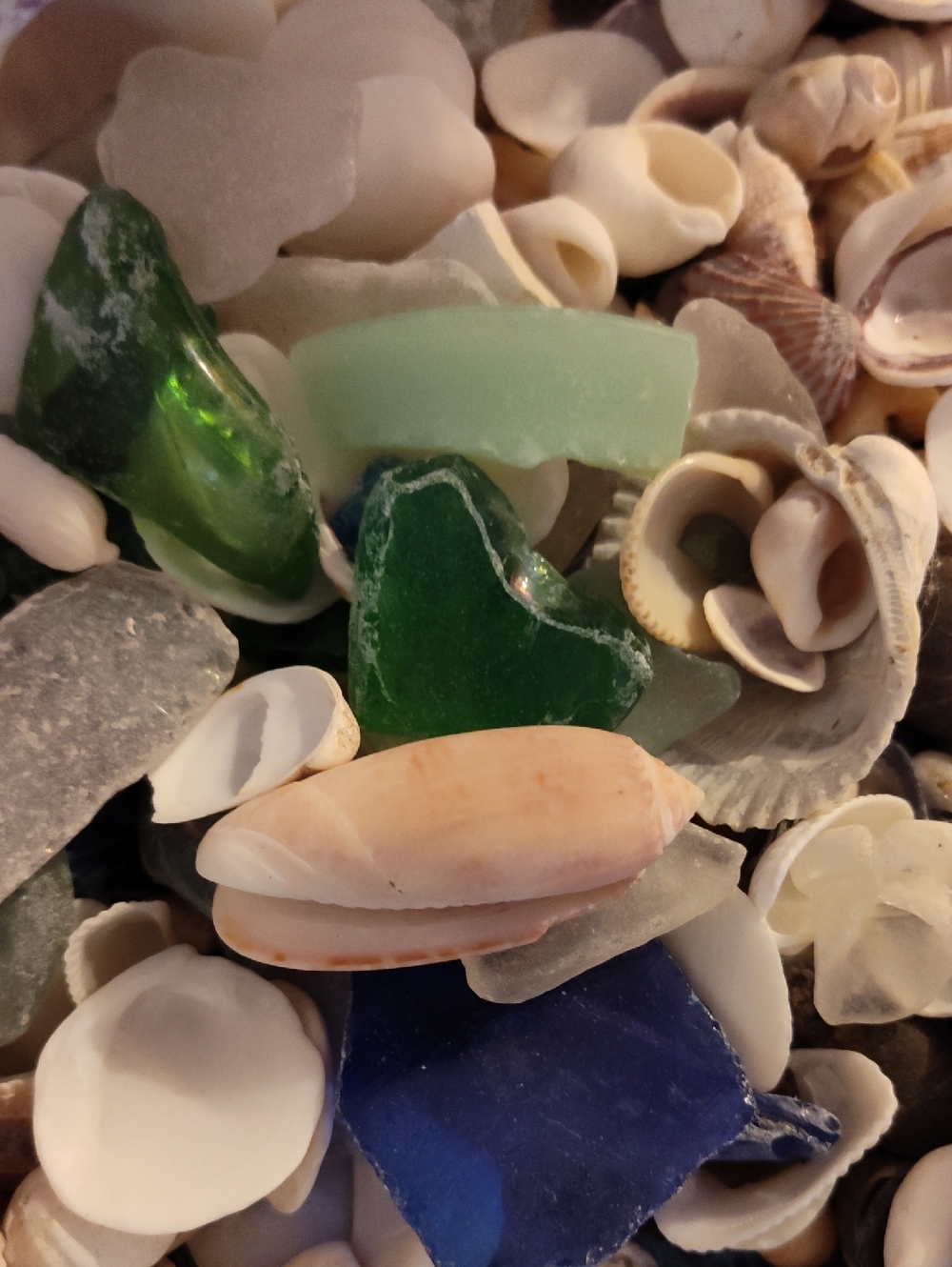 Mason Jar Full Of A Collection Of Sea Shells And Sea Glass With Plenty More - Picture 7 of 9